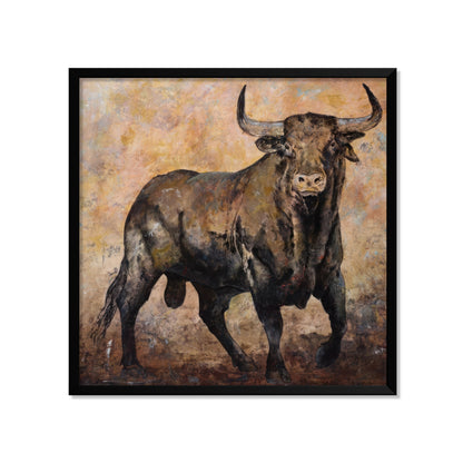TORO BRAU