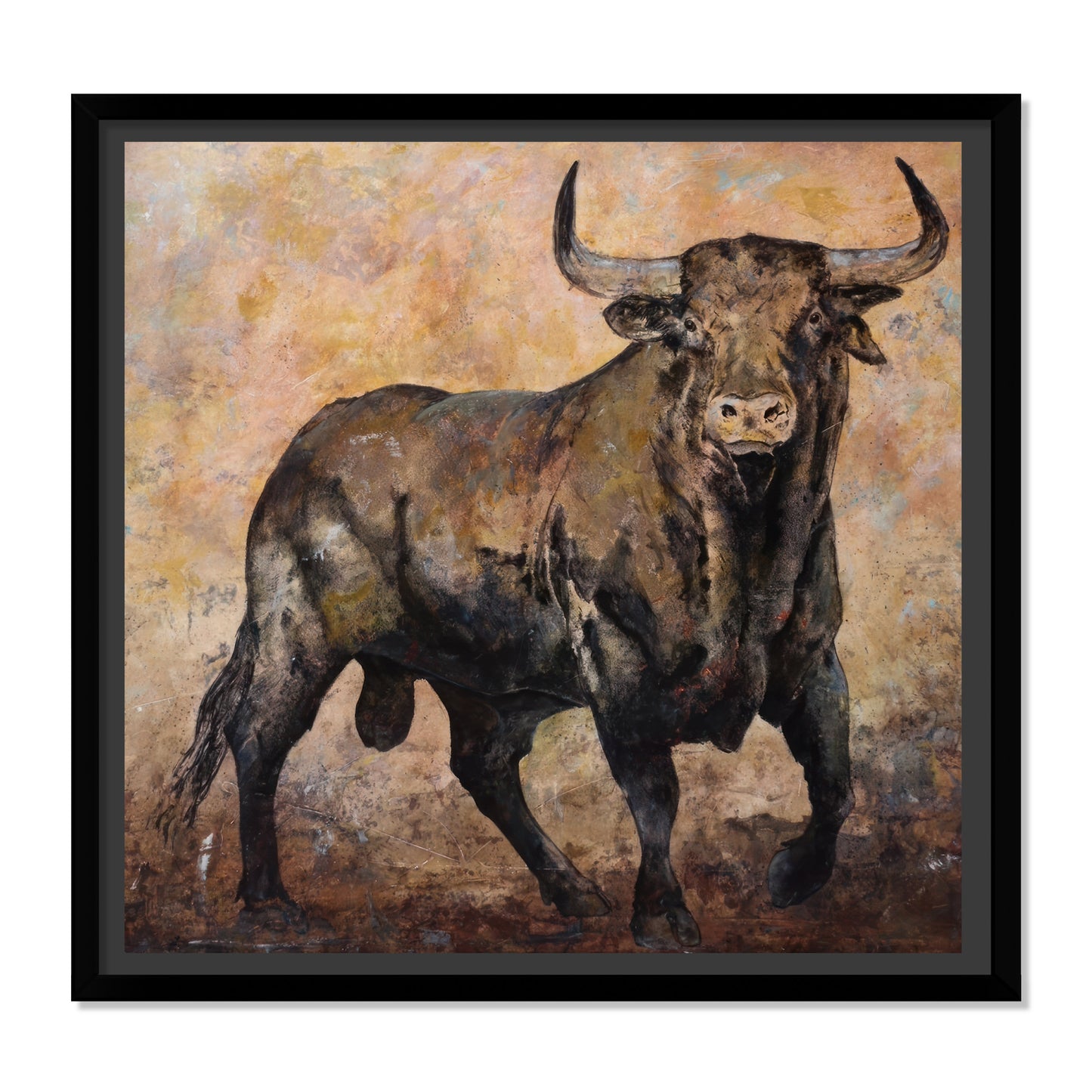 TORO BRAU