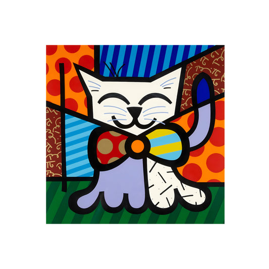 GATO ENCANTADOR