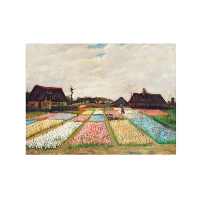 PARTERRE DE FLORES EN HOLANDA