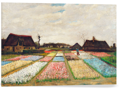 PARTERRE DE FLORES EN HOLANDA