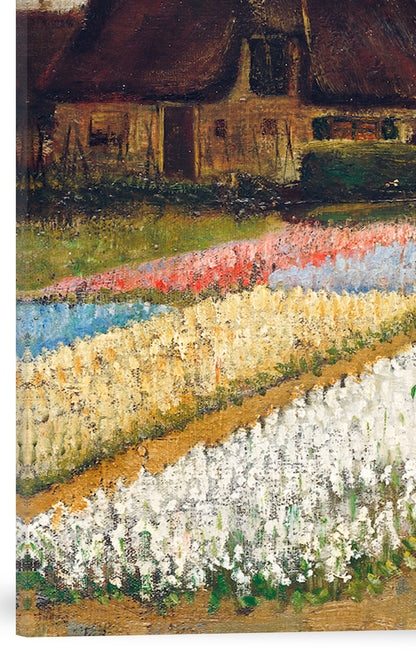 PARTERRE DE FLORES EN HOLANDA