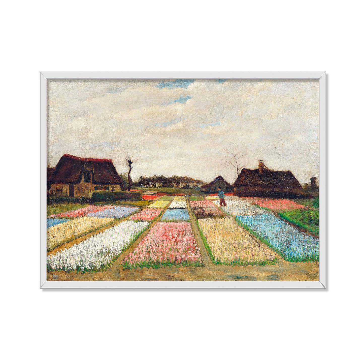 PARTERRE DE FLORES EN HOLANDA