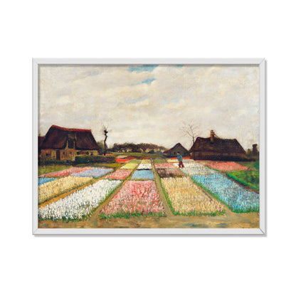 PARTERRE DE FLORES EN HOLANDA