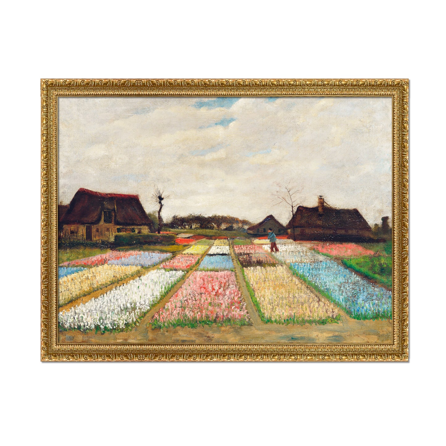 PARTERRE DE FLORES EN HOLANDA