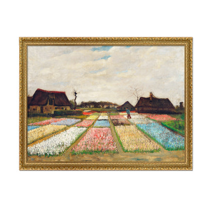 PARTERRE DE FLORES EN HOLANDA