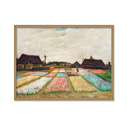 PARTERRE DE FLORES EN HOLANDA