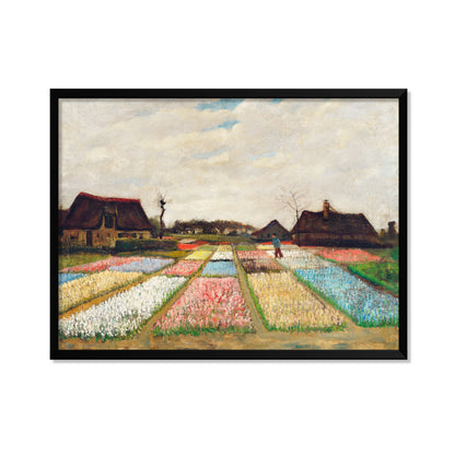 PARTERRE DE FLORES EN HOLANDA