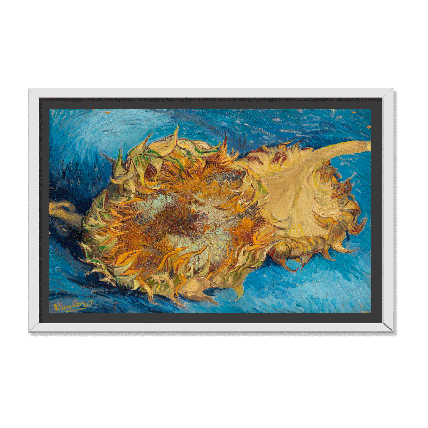 DOS GIRASOLES