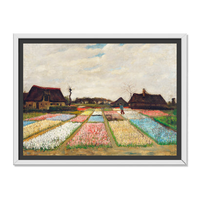 PARTERRE DE FLORES EN HOLANDA