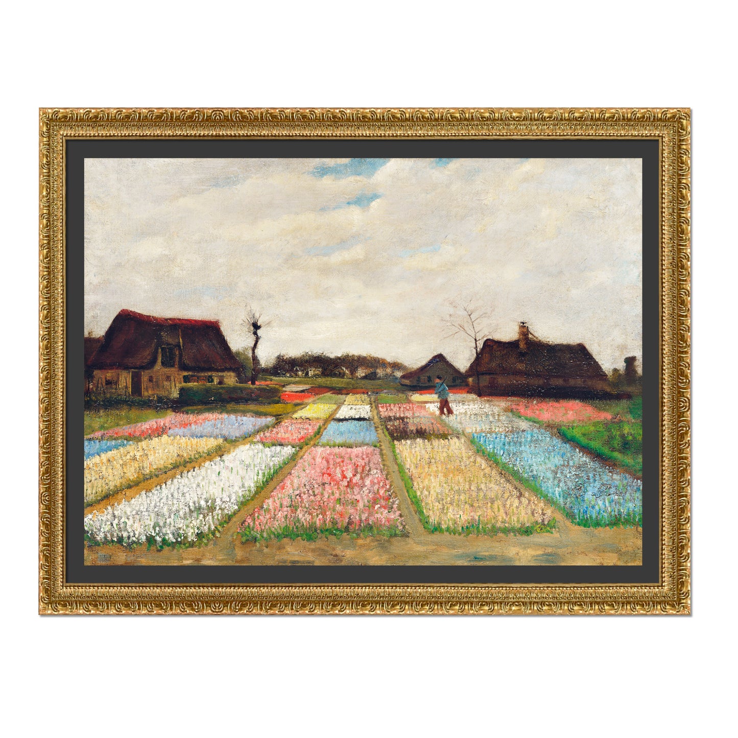 PARTERRE DE FLORES EN HOLANDA