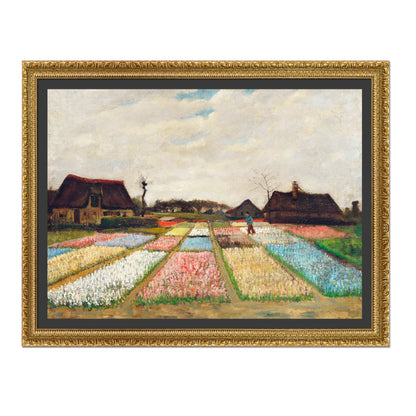 PARTERRE DE FLORES EN HOLANDA