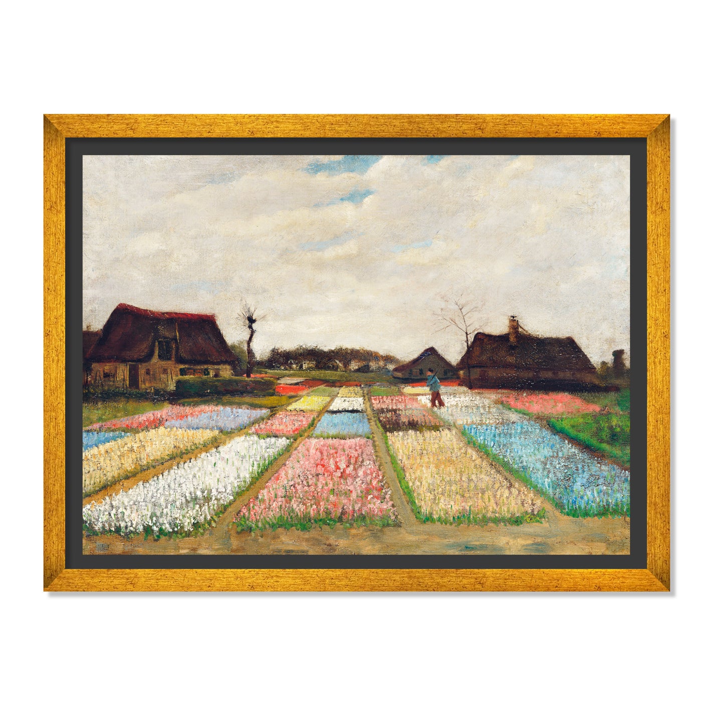 PARTERRE DE FLORES EN HOLANDA