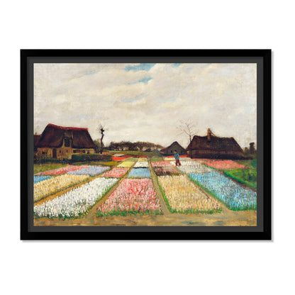 PARTERRE DE FLORES EN HOLANDA