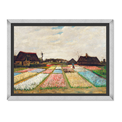PARTERRE DE FLORES EN HOLANDA